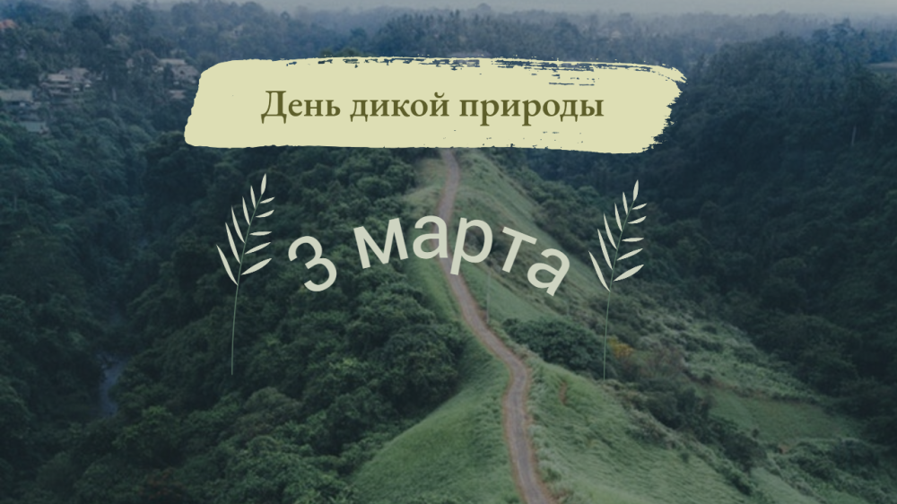 3 марта — День дикой природы