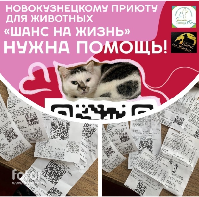 Филиал ЦЛАТИ по Кемеровской области оказал помощь приюту «Шанс на жизнь»